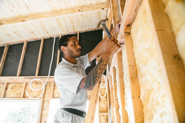 Best Attic Insulation Installation  in Parma, ID