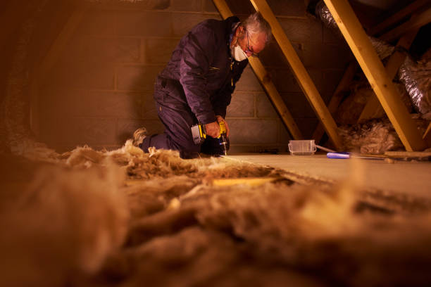 Best Blown-In Insulation  in Parma, ID